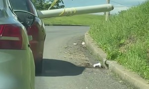Red Car Carries Wide Load In Peculiar Way