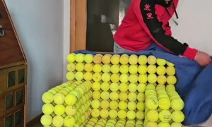 DIY Tennis Ball Chair