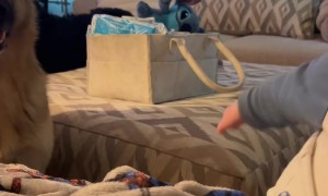 Pup Wants to Show His First Words Too