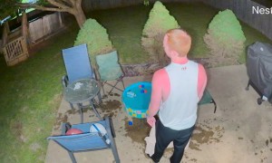 Frenchie Refuses To Dry Off