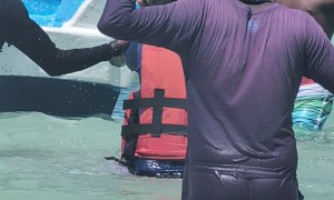 Men Fighting on Dominican Republic Beach