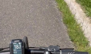 Chihuahua Pup Helps Pedal Bike