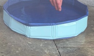 He’s Not a Pool Boy