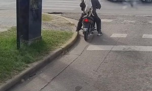 Dog Orders an Ubermoto