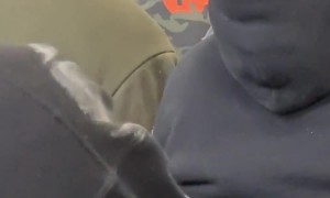 Bald Man Evolves Eyespot Mimicry