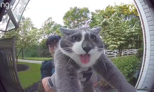 Friendly Neighbor Returning My Cat