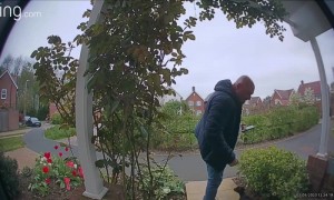 Dachshunds Escape From Half-Dressed Owner