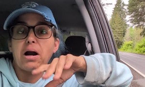 Pulling Over After Seeing Loose Logs on Truck