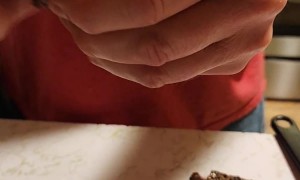 Ripping Grandma's Roast Dinner Apart