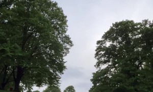 Bottle Cap Boomerang