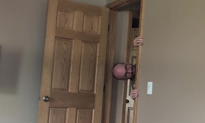 Mr. Climbs and Sugs Disapproves