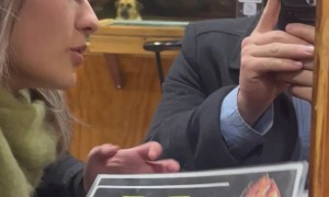 Really Selling Those Puppy Eyes