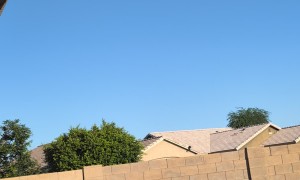 Drone Delivery Creates Dust Storm in Backyard