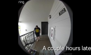 Wrong People Keep Coming Back For Porch Snacks