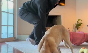 Food First, Then Help Mom