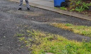 Public Freakout About Man Taking Photo of Exhaust System