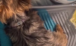 Look What You've Done Molly