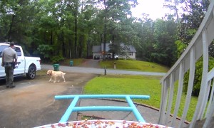 Husband Leaves Message For Wife On Bird Feeder Camera