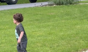 Firefighter Fan Is the Only One Having a Good Day