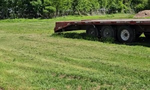 Polite Tree Turns Itself To Firewood