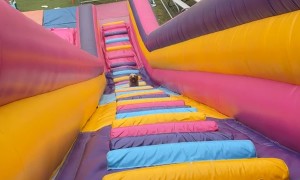 Puppy Plays On Giant Inflatable Slide
