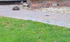 Me in My 40's Still Mentally in My 20's