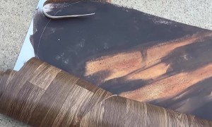 Driveway Canyon Painting