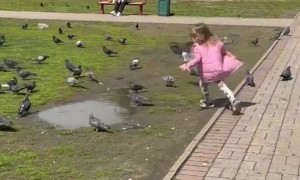 Little Girl Falls Into a Puddle