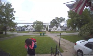 Young Girl Gets Swarmed by Midges