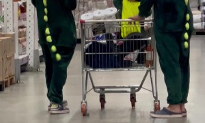 Adorable Dinosaur Family Goes Grocery Shopping