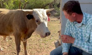 It Was Love at First Bite