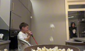 Popcorn Fireworks