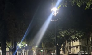 Rats Scurry Across Tightrope