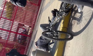 Bicycle Collides With Street Reporter