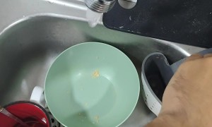 Kitten Climbs Owner In Kitchen