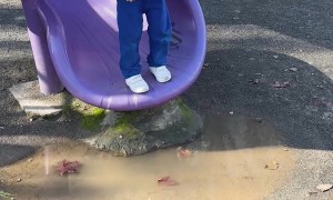 Trying to Jump Over Puddle