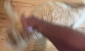 One Orange Brain Cell Loves to Spin