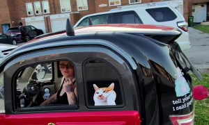 Enclosed Mobility Scooter Baffles Pedestrian