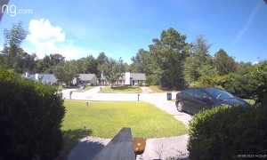 Mantis Dances on Doorbell Camera