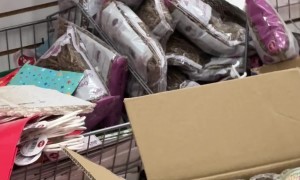 Raining Snakes at the Dollar Tree