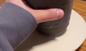 Ceramic Plate Design Tries to Hold Up