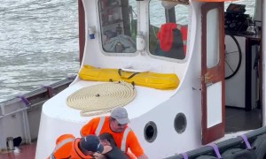 Water Rescue on the Thames