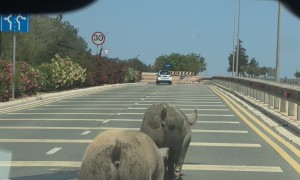 Me and Bestie Heading for Our First Swim