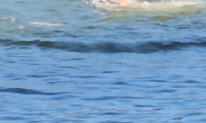 Guy Slips Off Boat Dock Roof