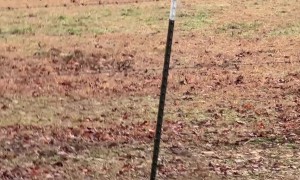 Peppa Trying to Make Friends