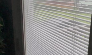 Lightning Hit Way Too Close to Home