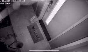 Caught This Guy Stealing a Package at 1am