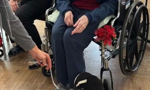Penguins Visit Friends at an Assisted Living Home