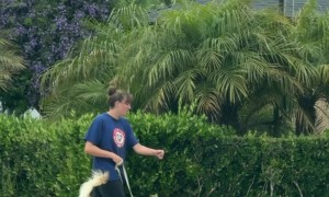 Which One Do I Pet First?