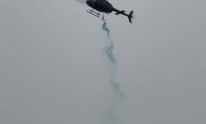 Miami Gender Reveal Is Different